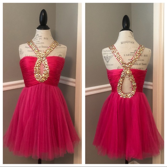 Sherri Hill Dresses & Skirts - SHERRI HILL PINK JEWELED TULLE DRESS